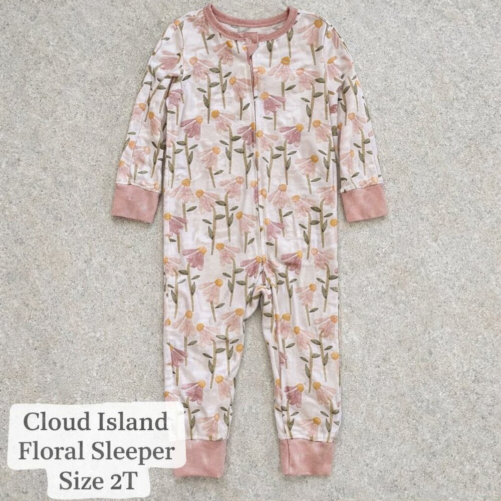 Cloud Island Pink Floral Pajama 2T